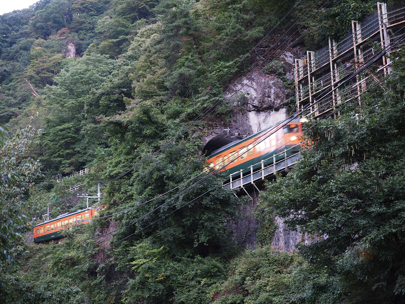 P9210047.jpg