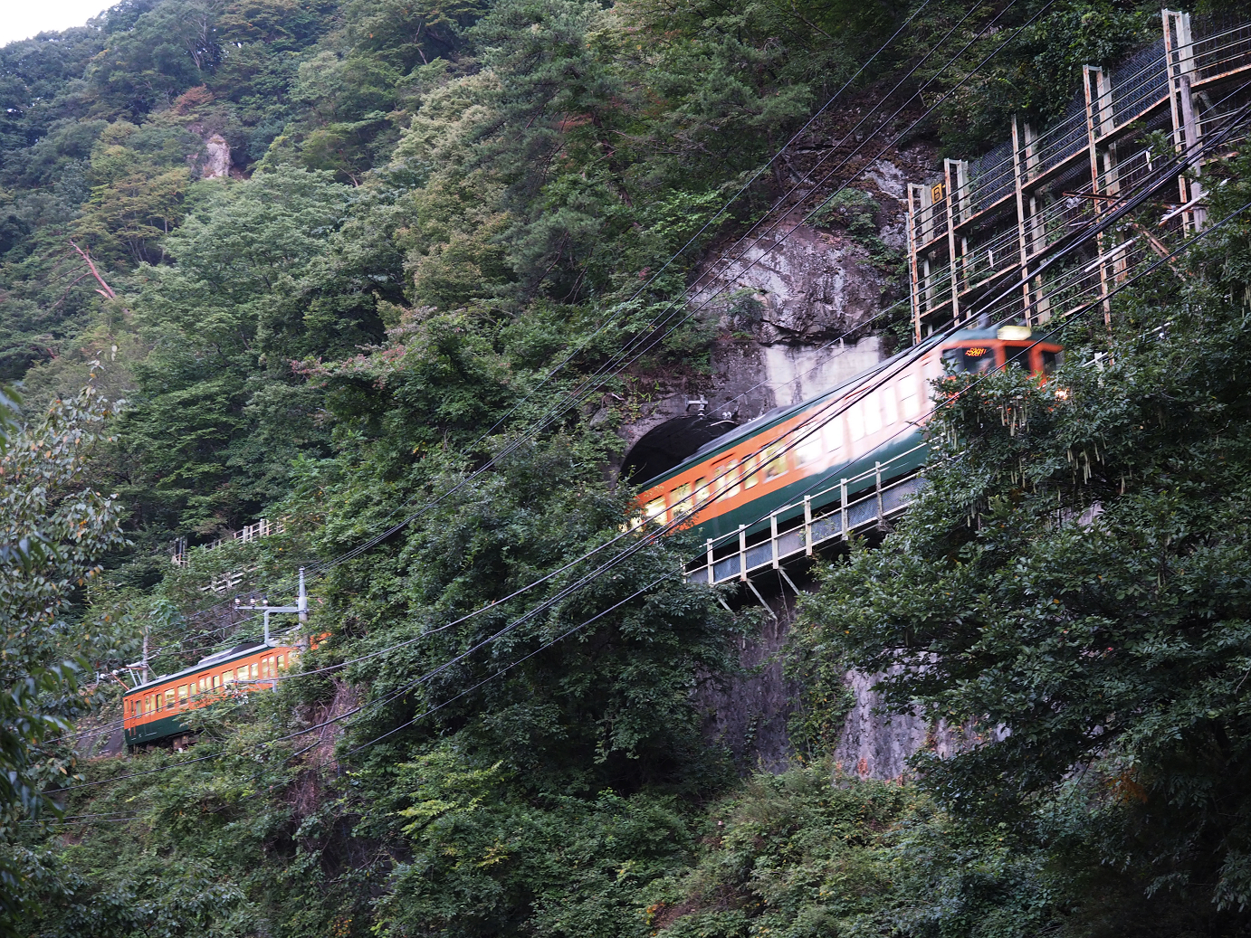 P9210048.jpg