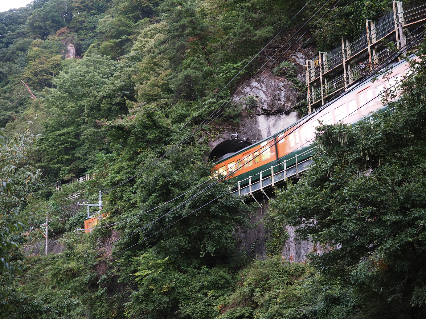 P9210053.jpg