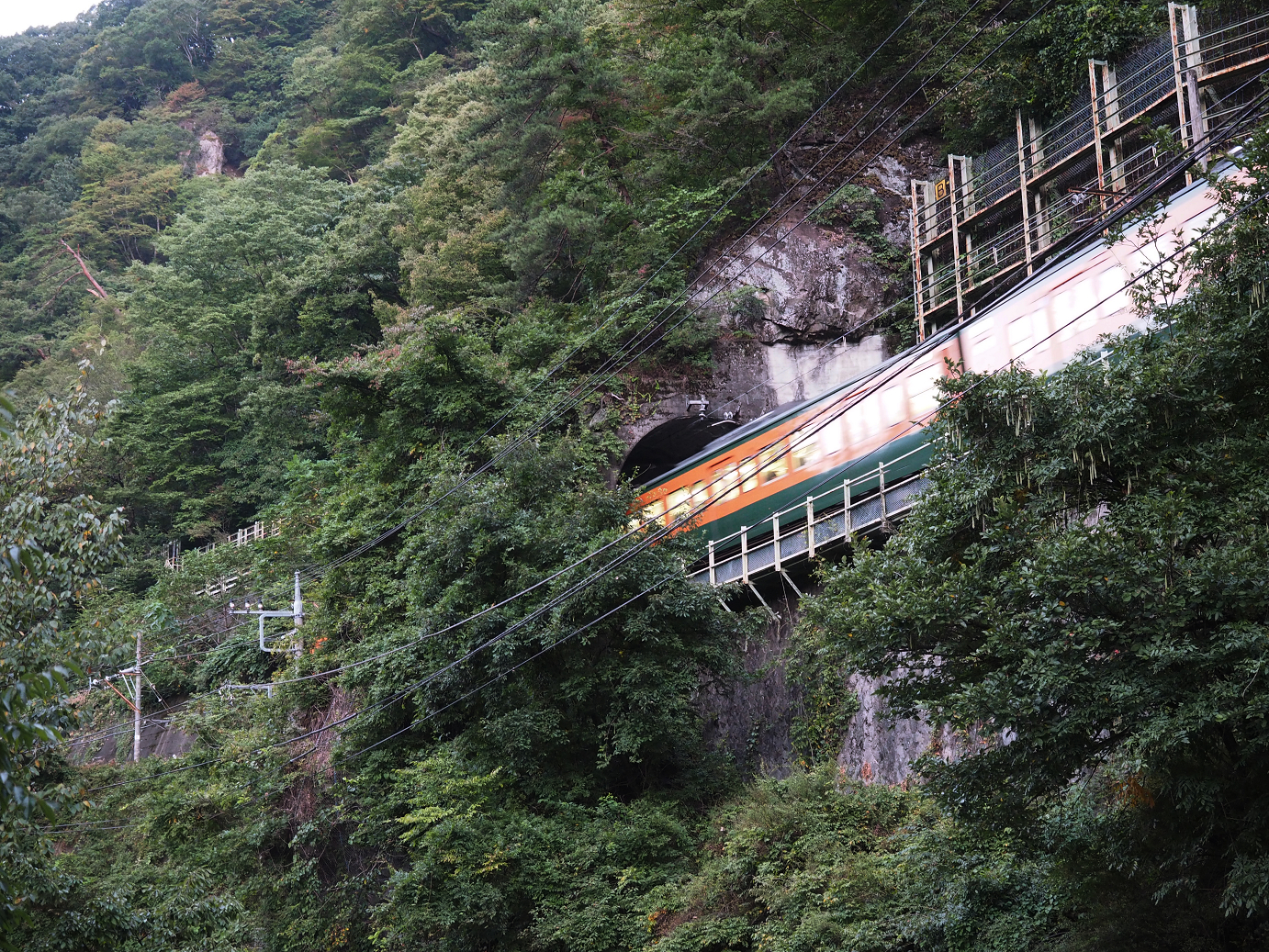 P9210055.jpg