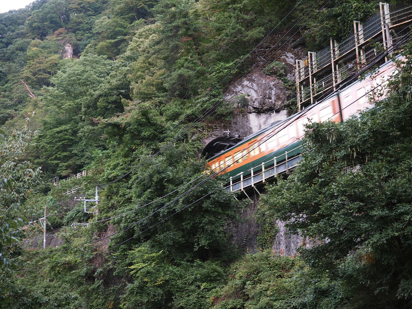 P9210056.jpg