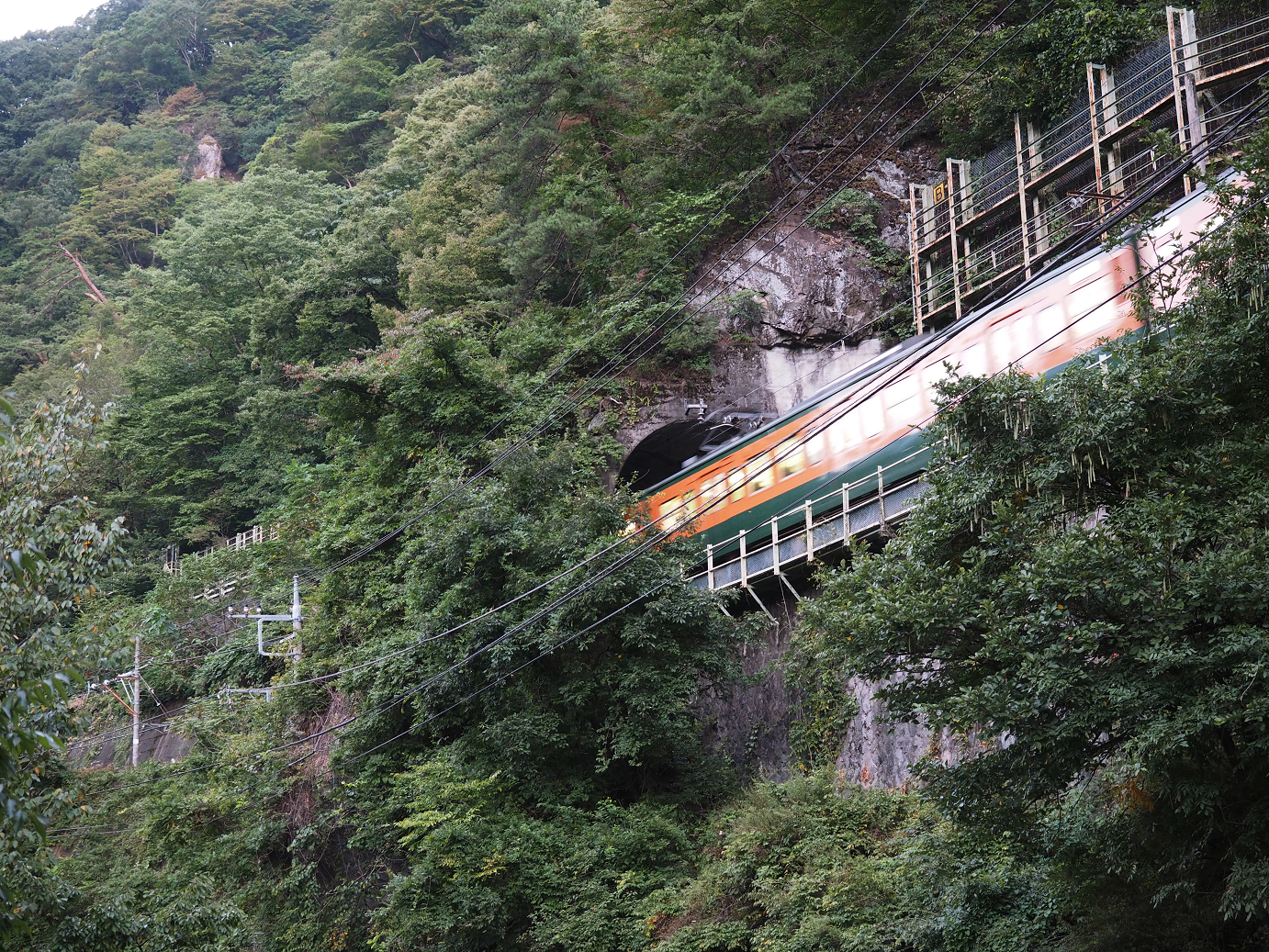 P9210057.jpg
