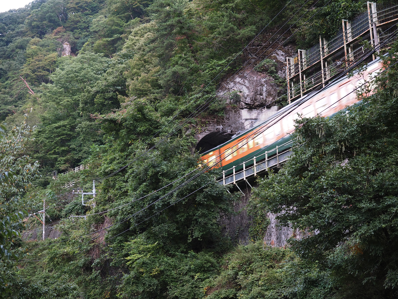 P9210058.jpg