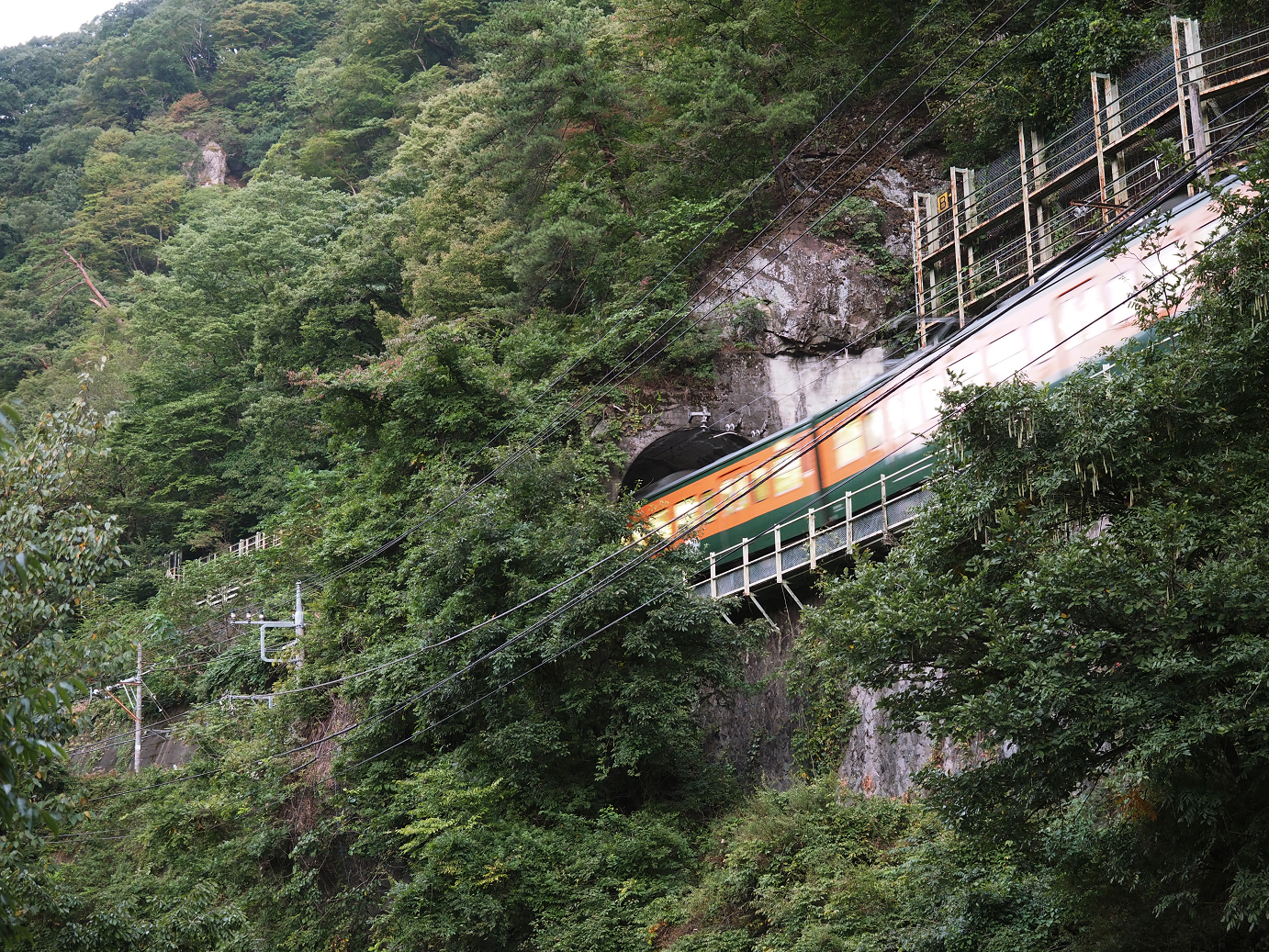 P9210060.jpg