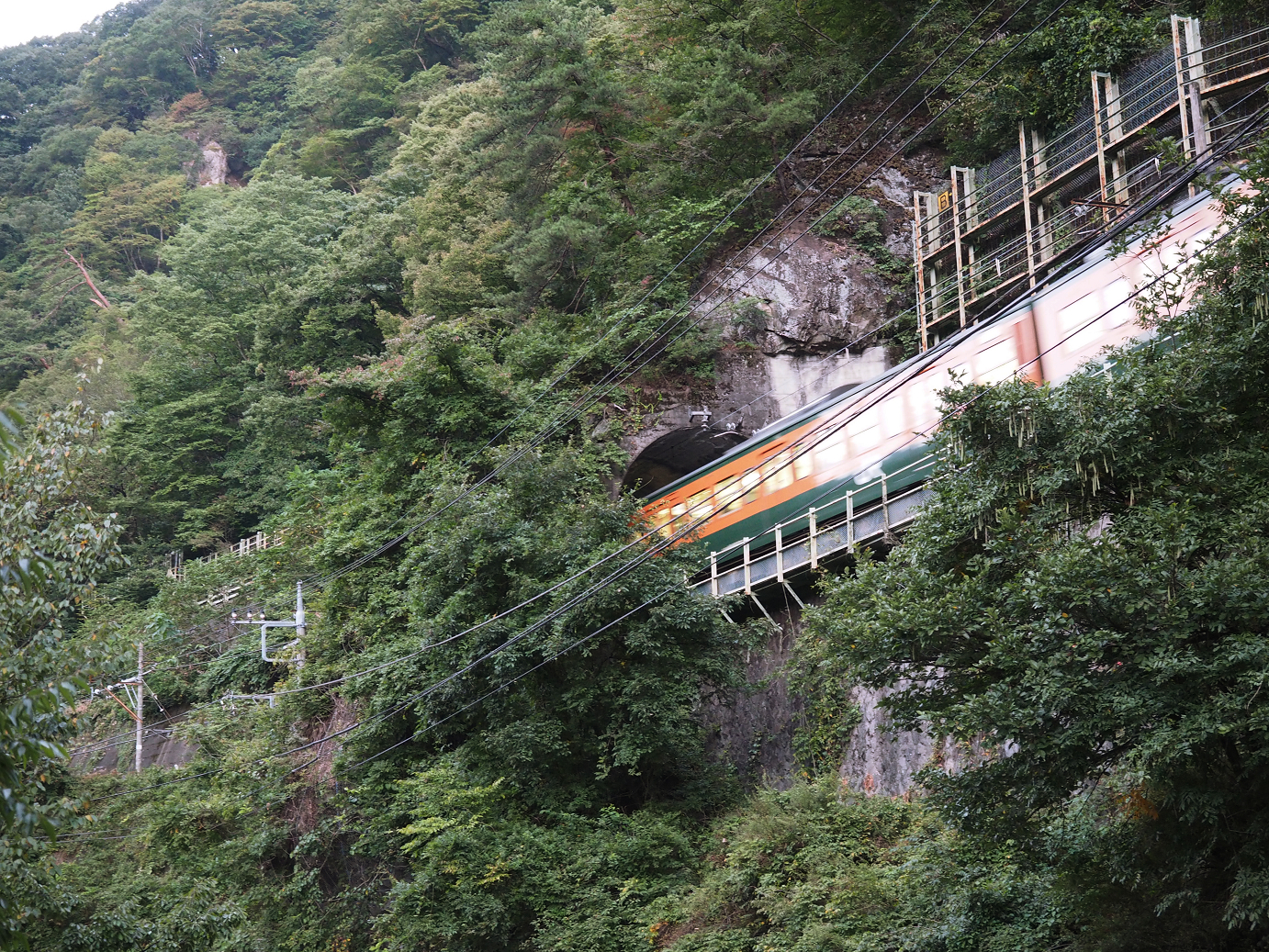 P9210063.jpg