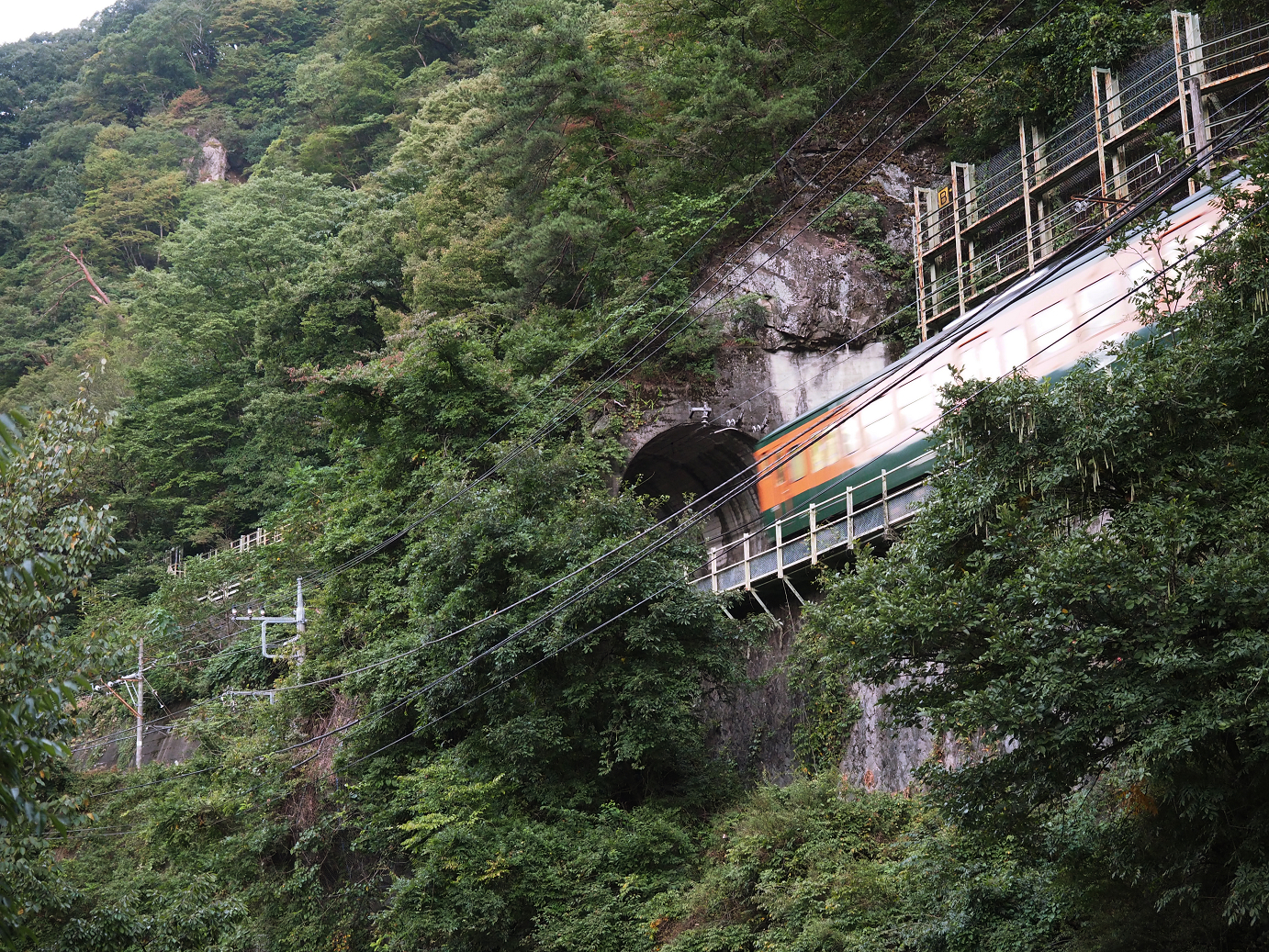 P9210066.jpg