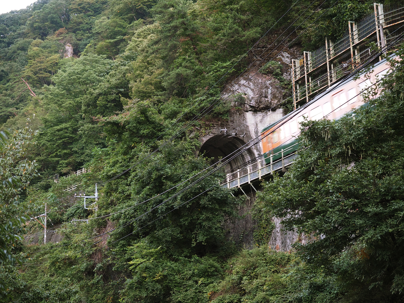 P9210067.jpg
