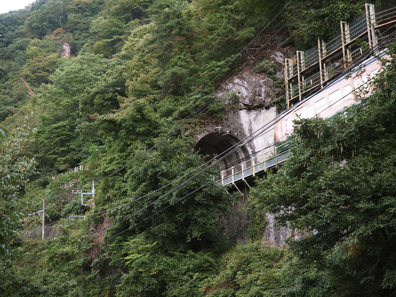 P9210068.jpg