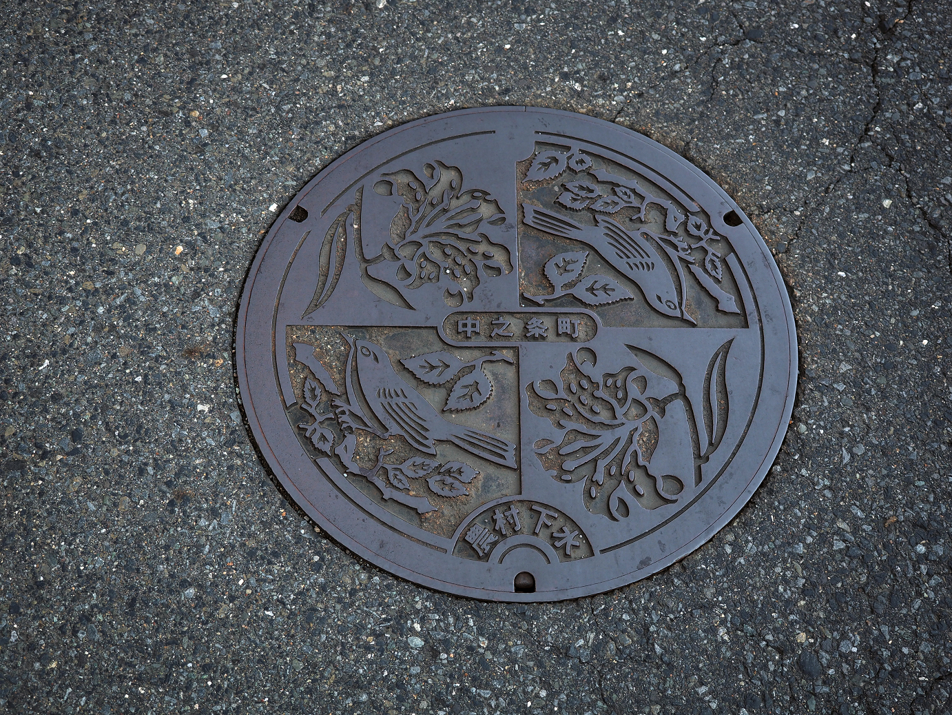 P9210075.jpg
