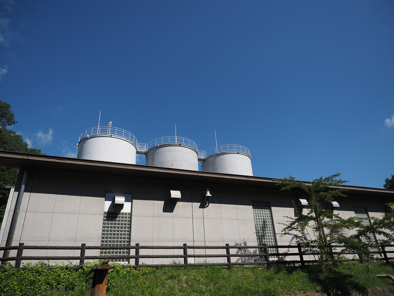 P9210150.jpg