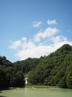 P9210228_thumb.png