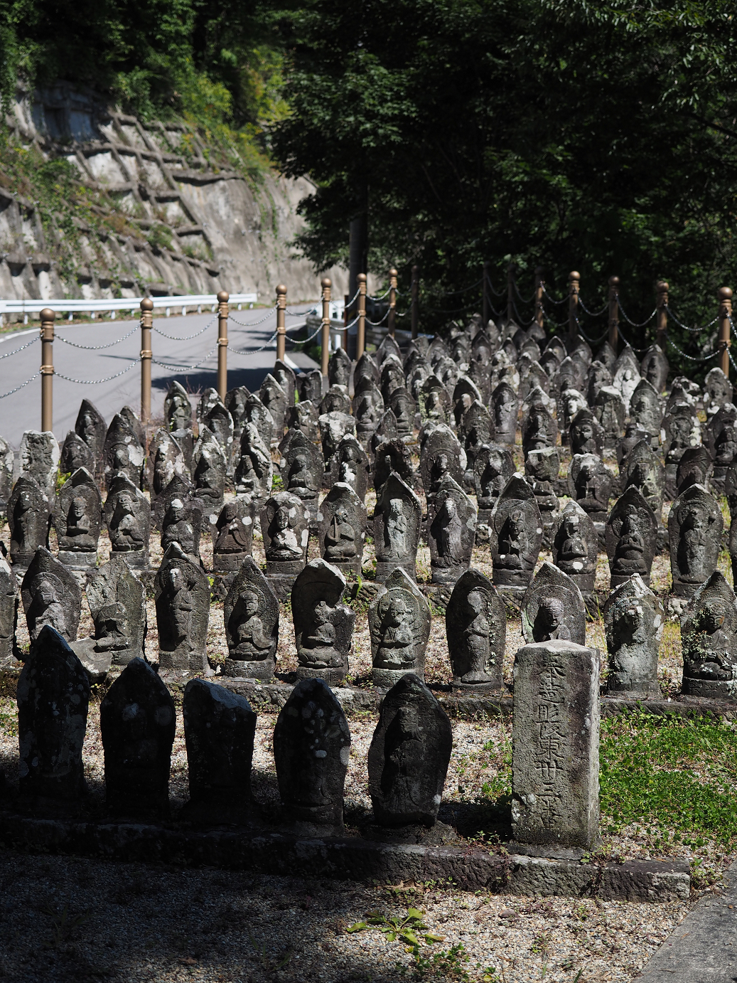P9210250.jpg