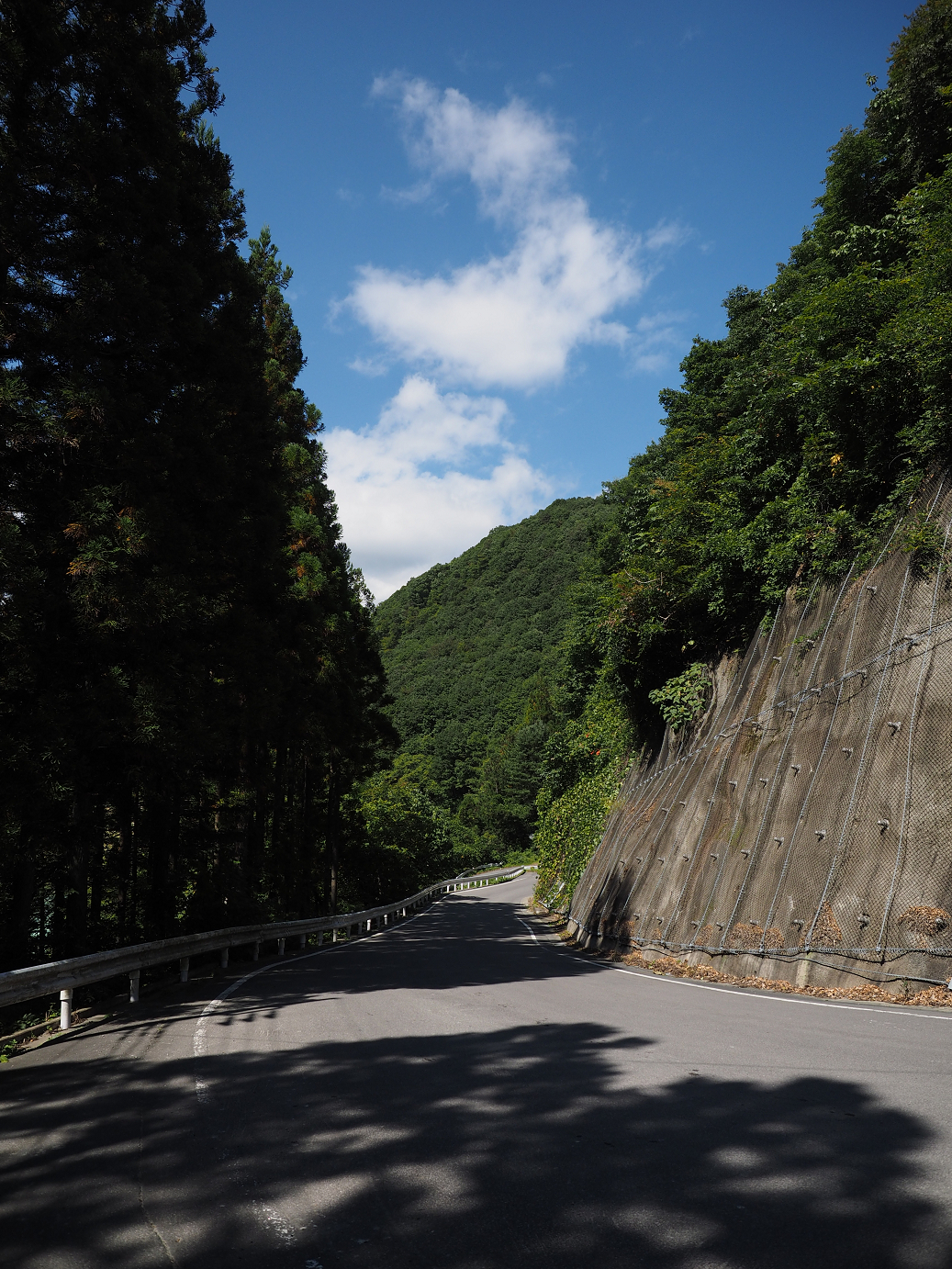 P9210261.jpg