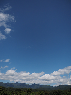 P9210268_thumb.png