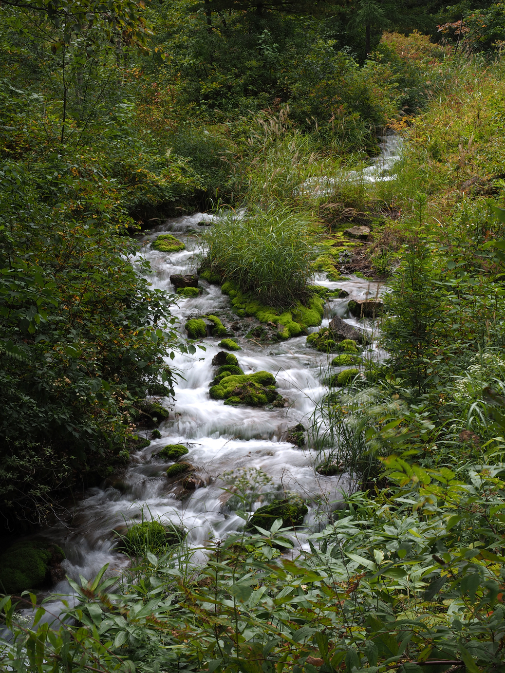 P9210277.jpg