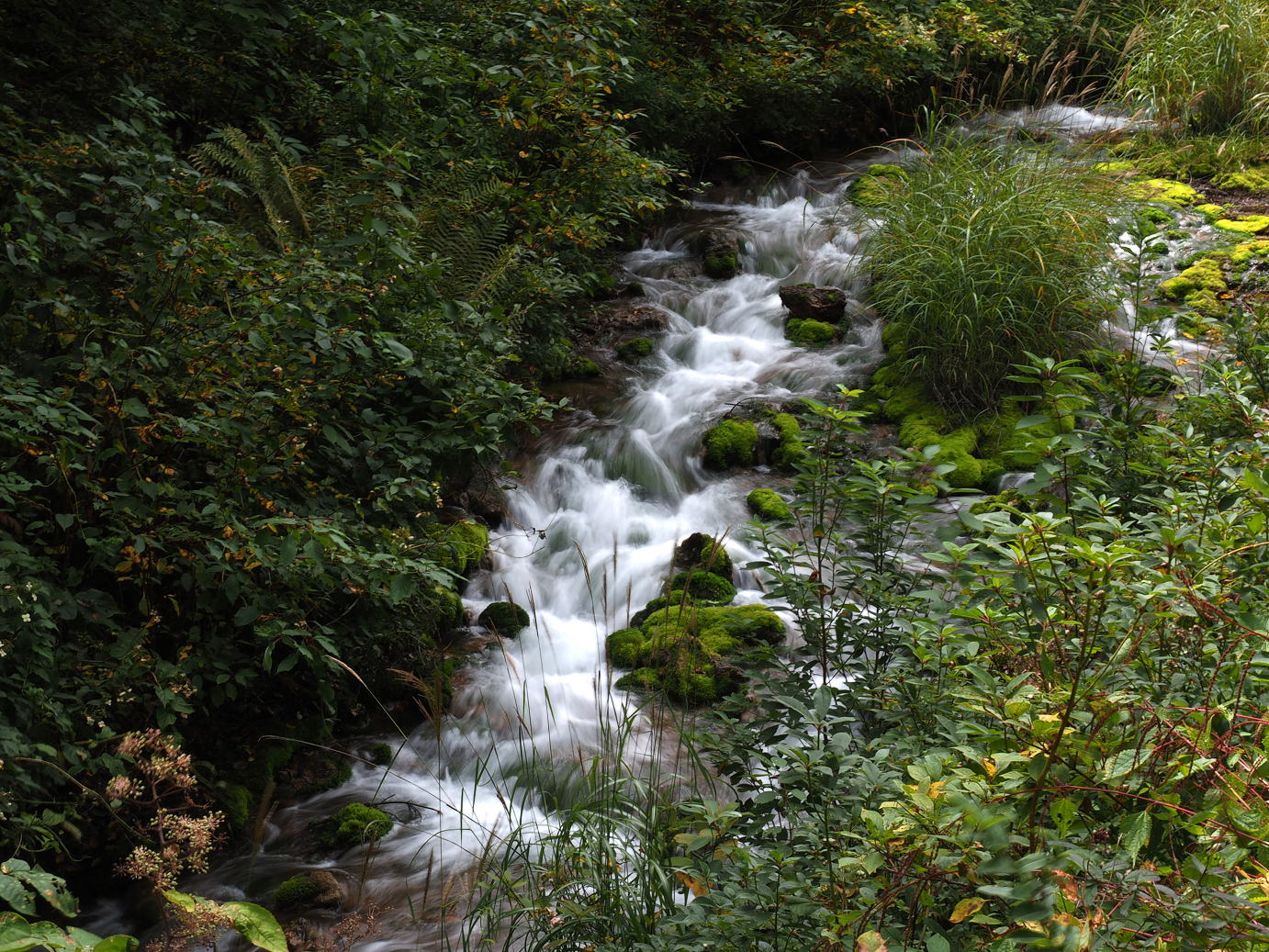 P9210278.jpg