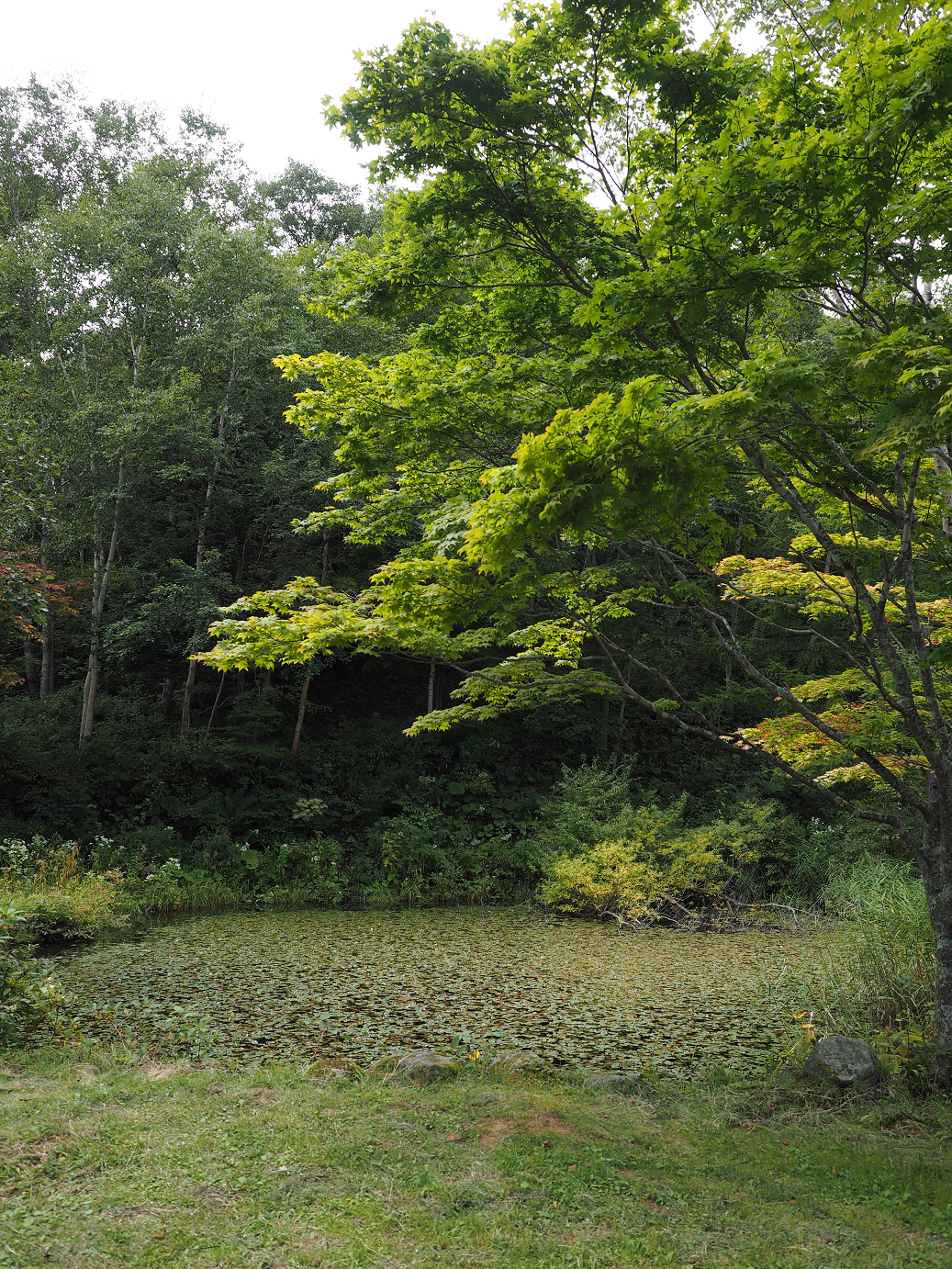 P9210332.jpg