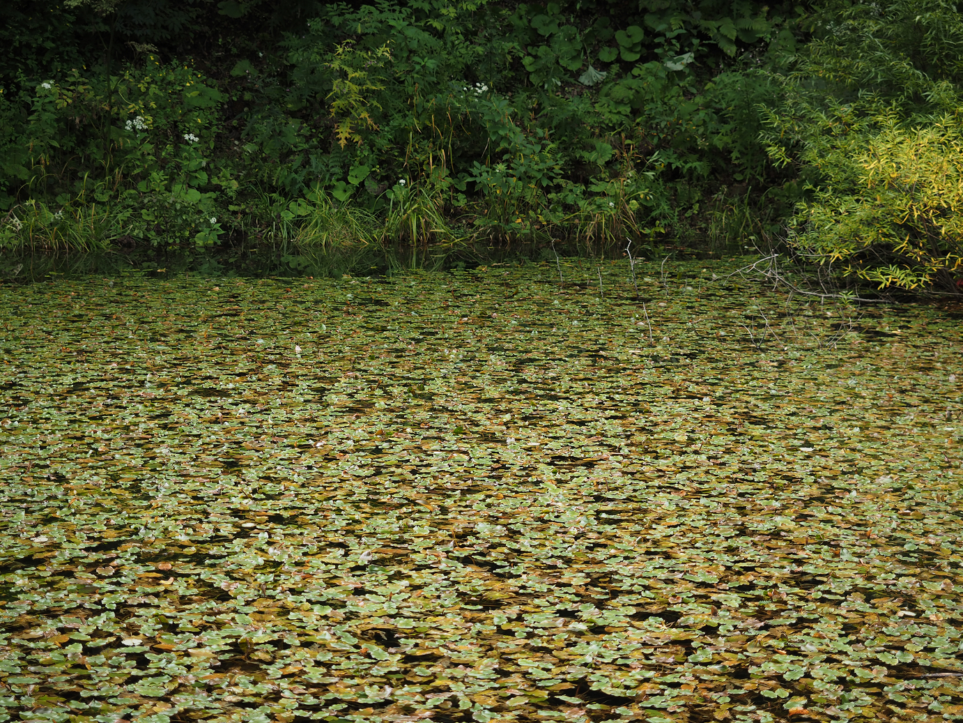 P9210333.jpg