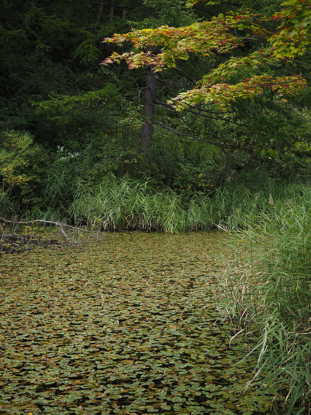 P9210337.jpg