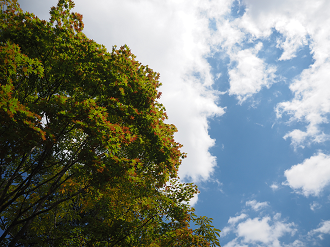 P9210344_thumb.png