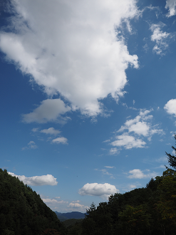 P9210348_thumb.png