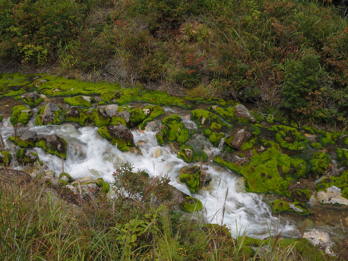 P9210357.jpg