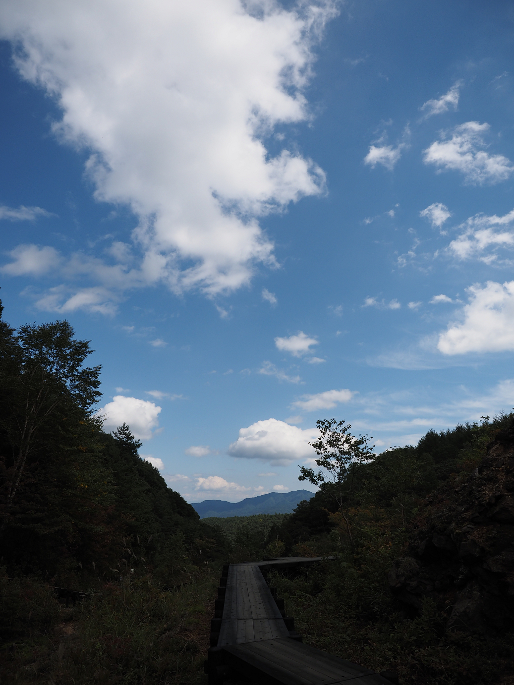 P9210377.jpg