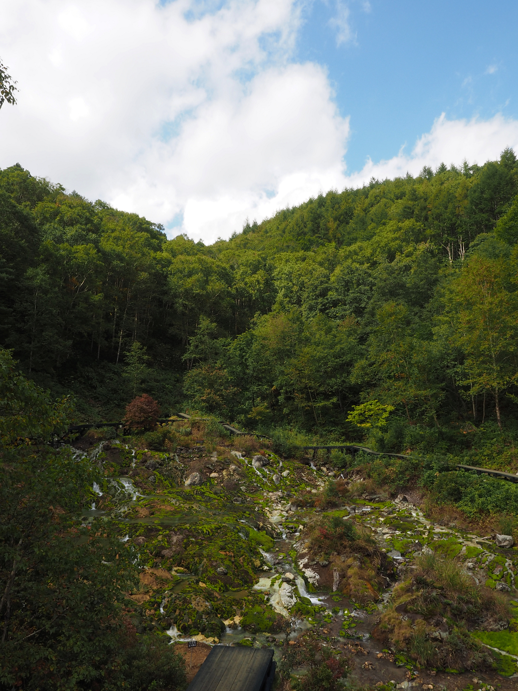 P9210413.jpg