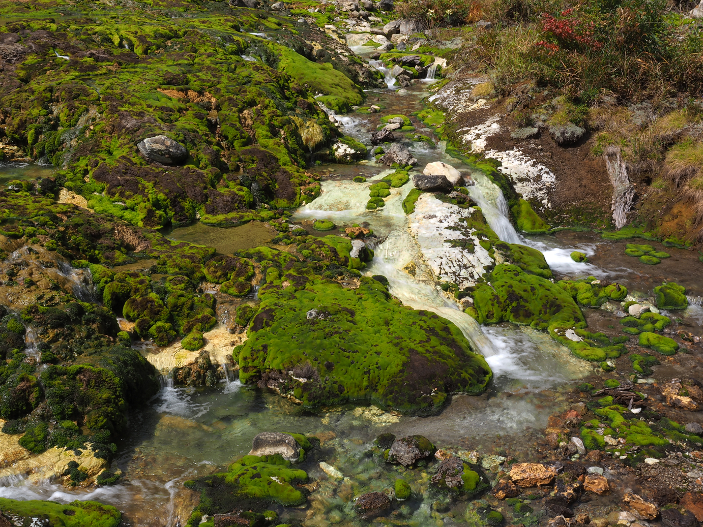 P9210435.jpg