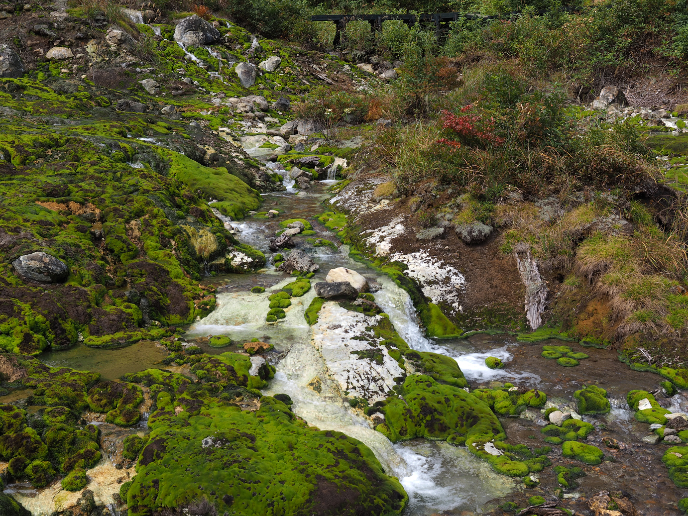 P9210442.jpg