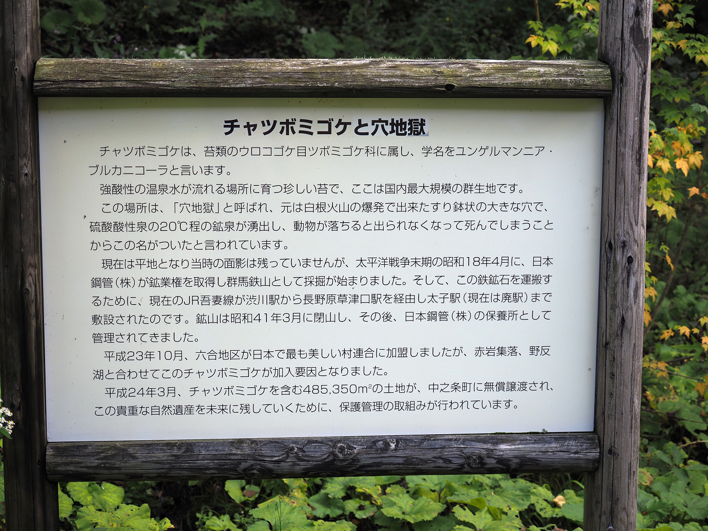 P9210448.jpg