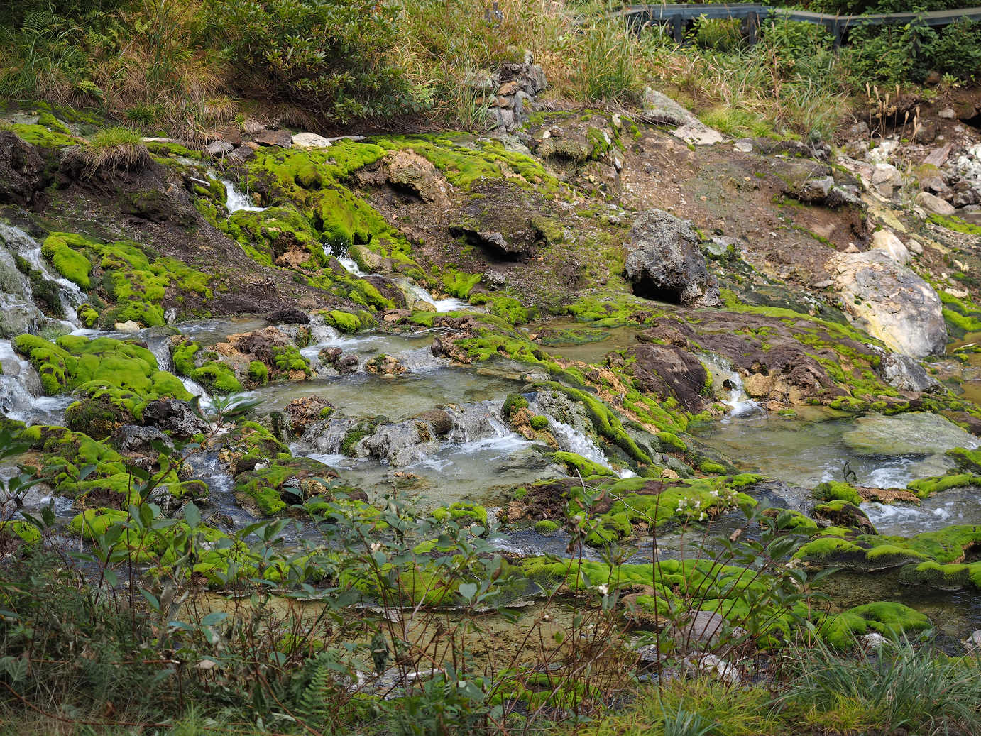 P9210461.jpg