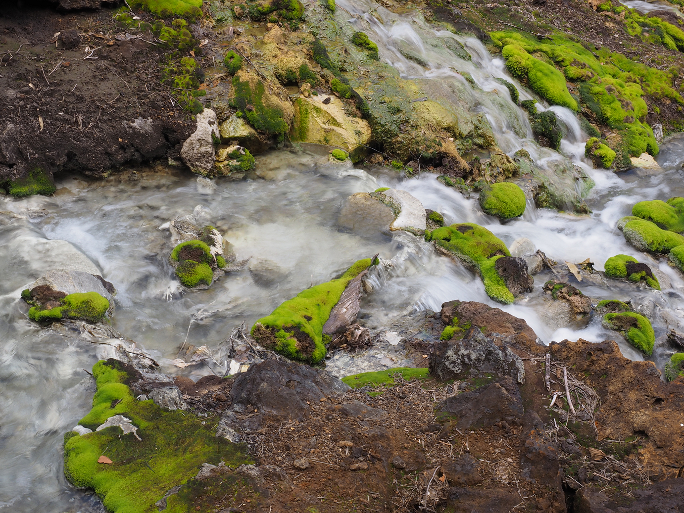P9210467.jpg