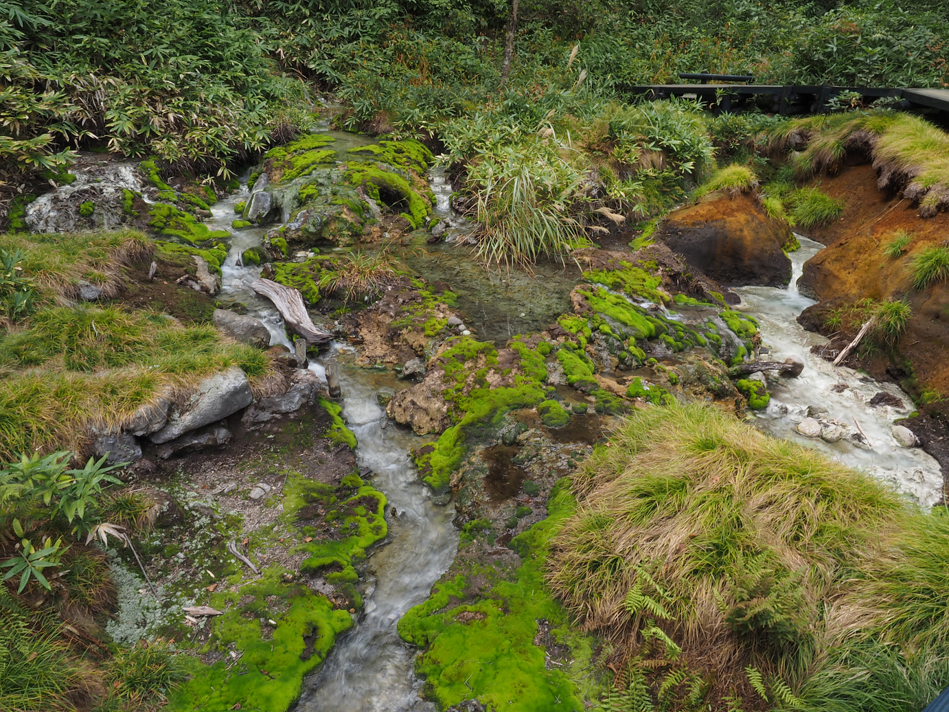 P9210484.jpg
