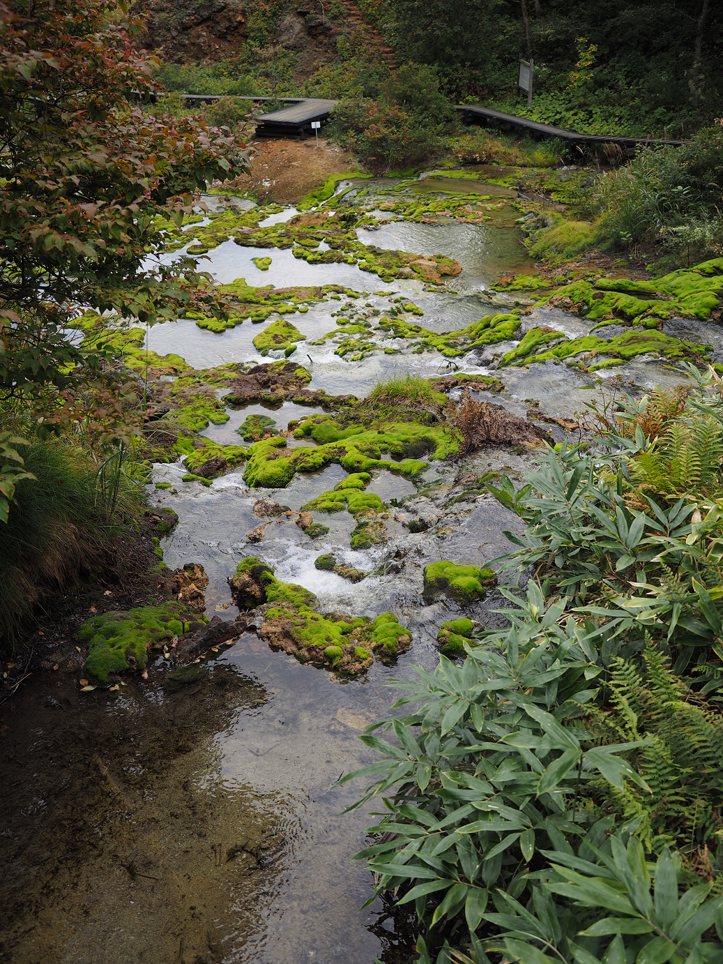 P9210491.jpg
