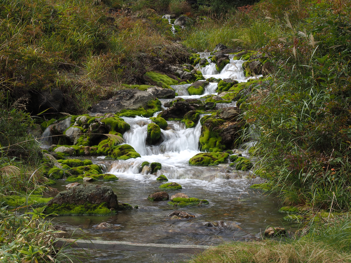 P9210550.jpg
