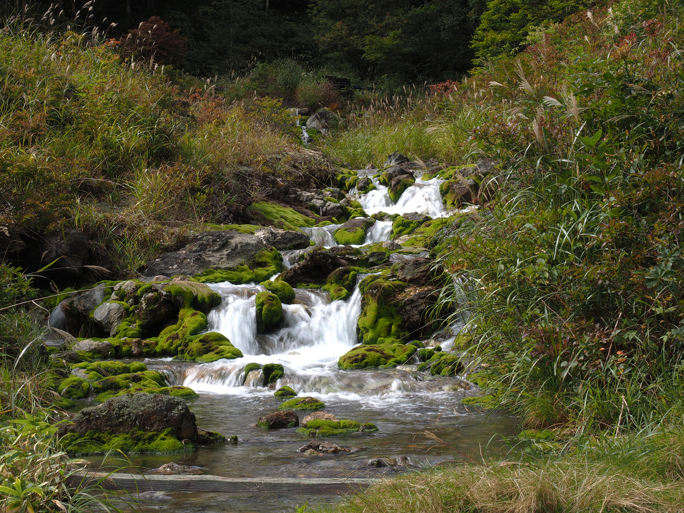 P9210554.jpg