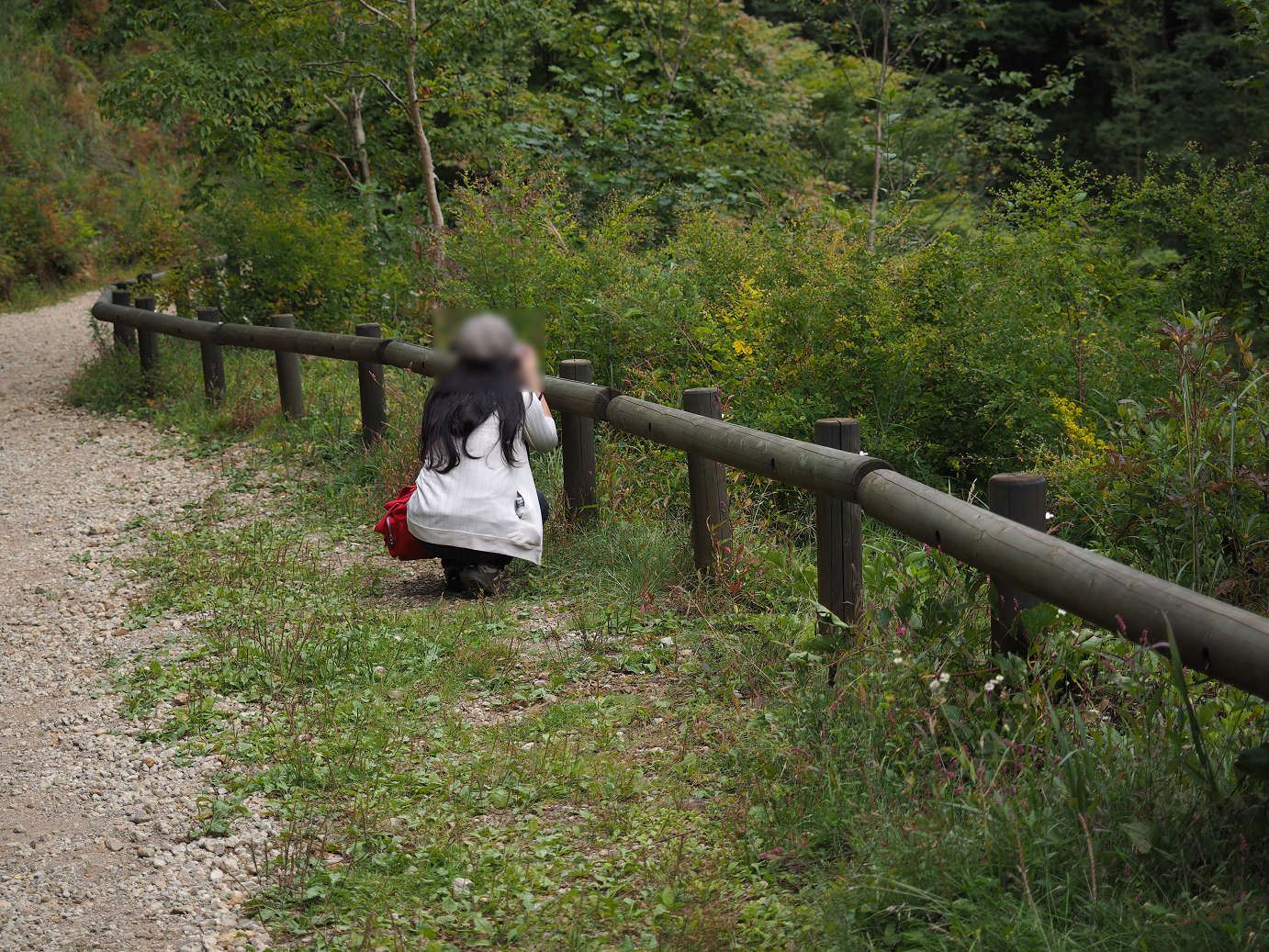 P9210585.jpg