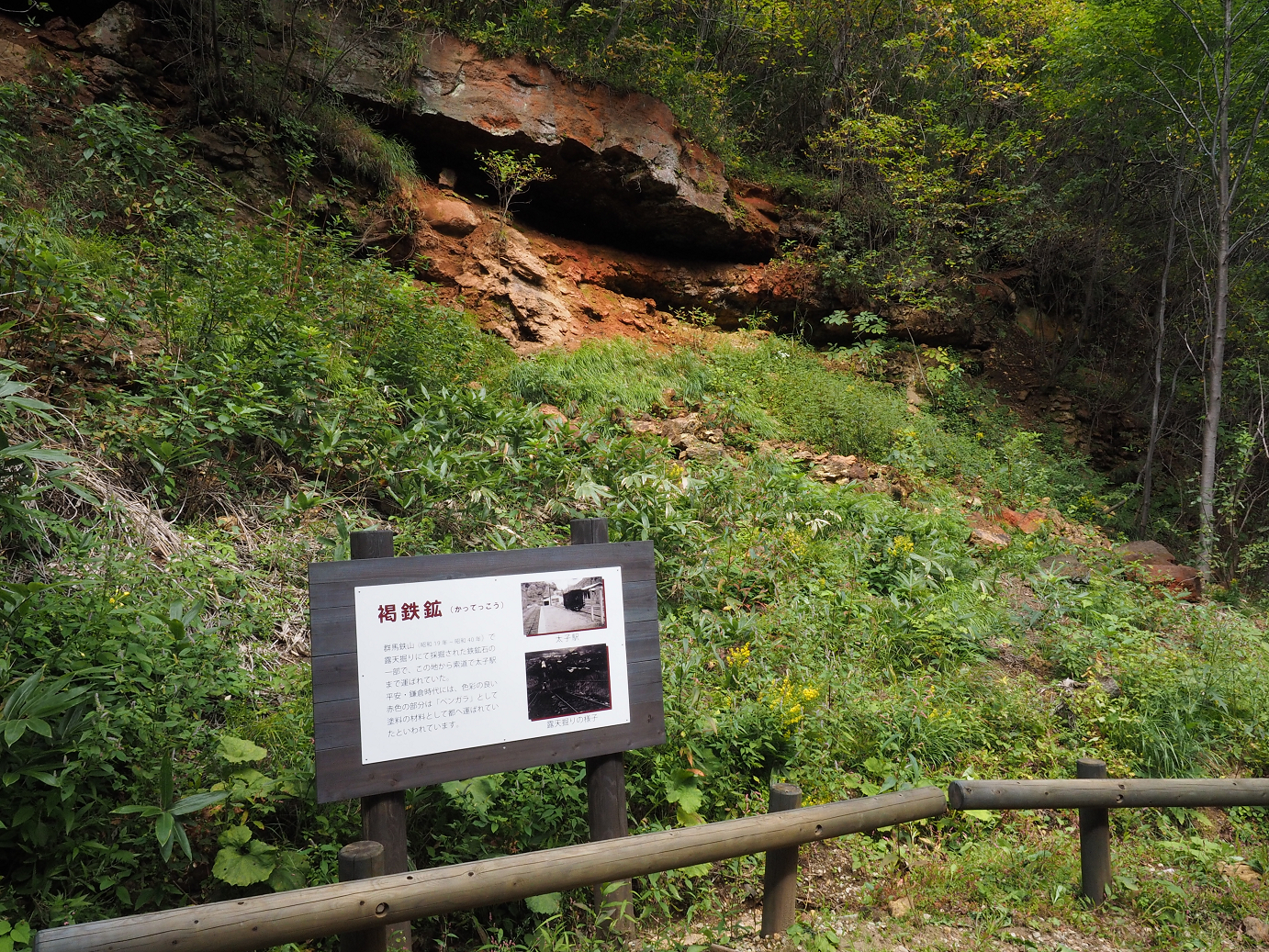 P9210618.jpg