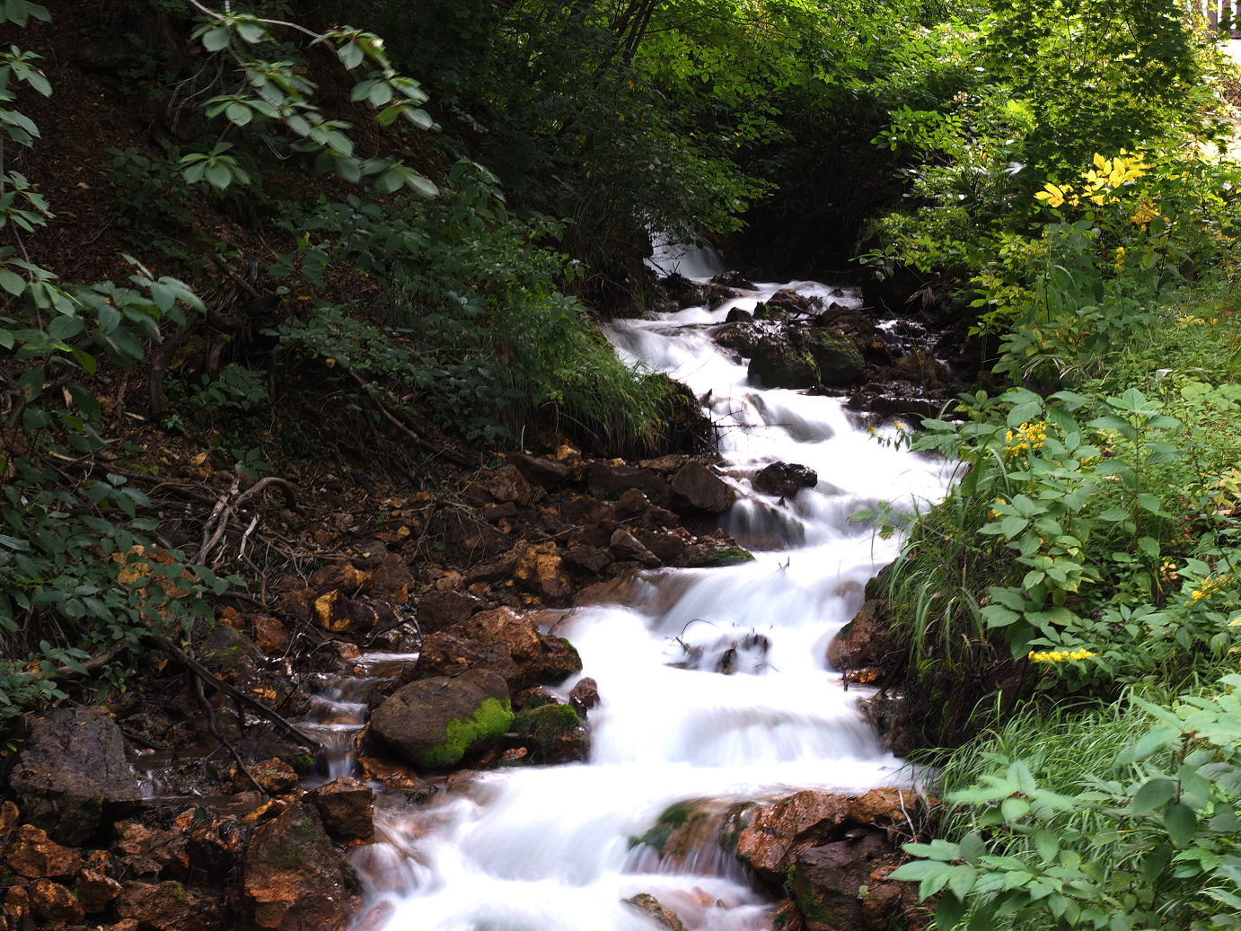 P9210630.jpg