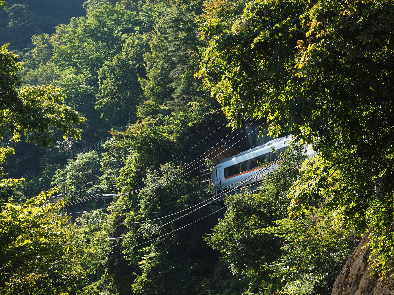 P9210751.jpg