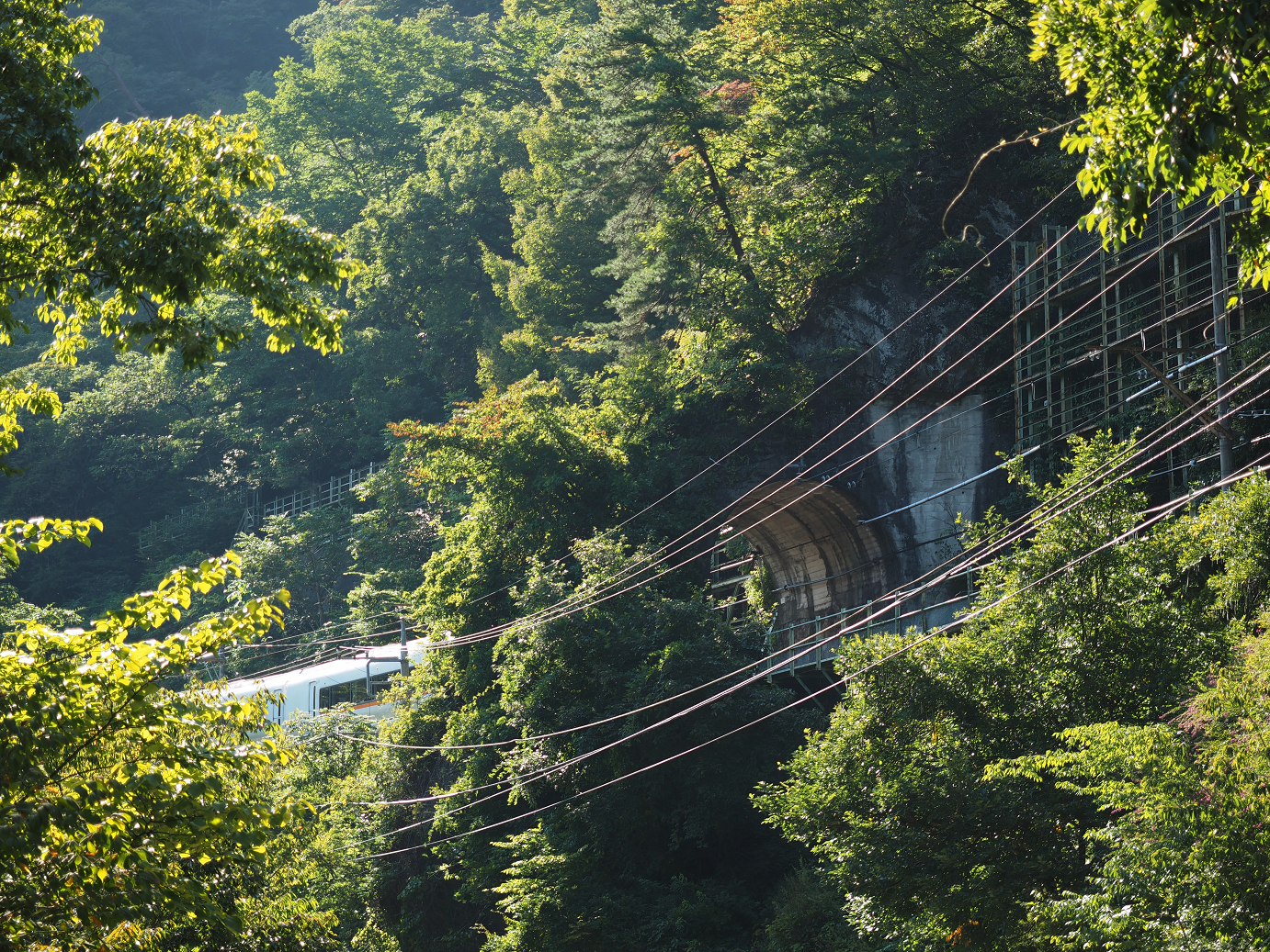P9210790.jpg
