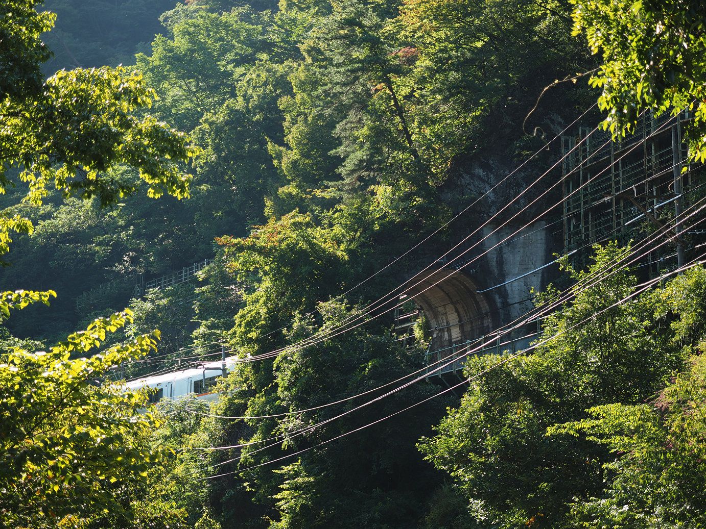 P9210791.jpg