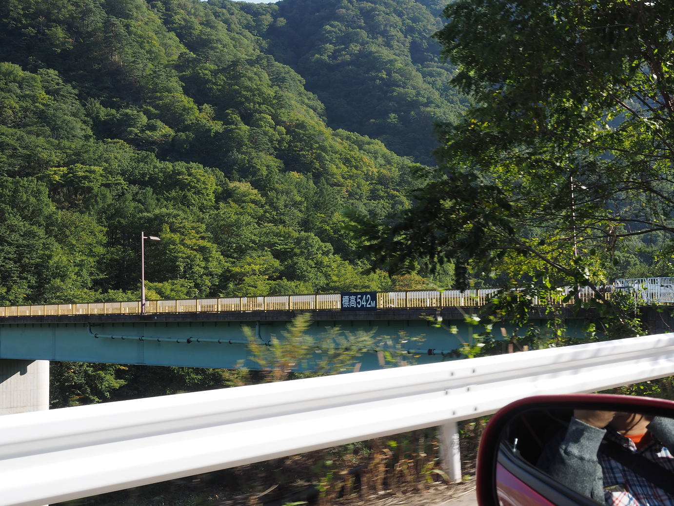 P9210854.jpg