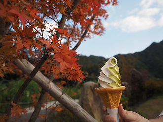 P9210906_thumb.png
