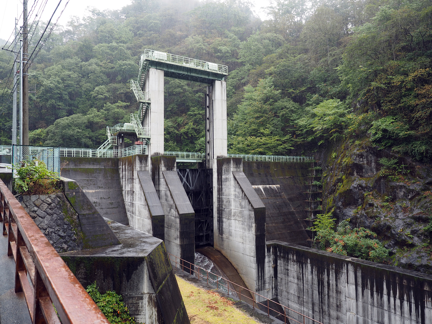 PA050003.jpg