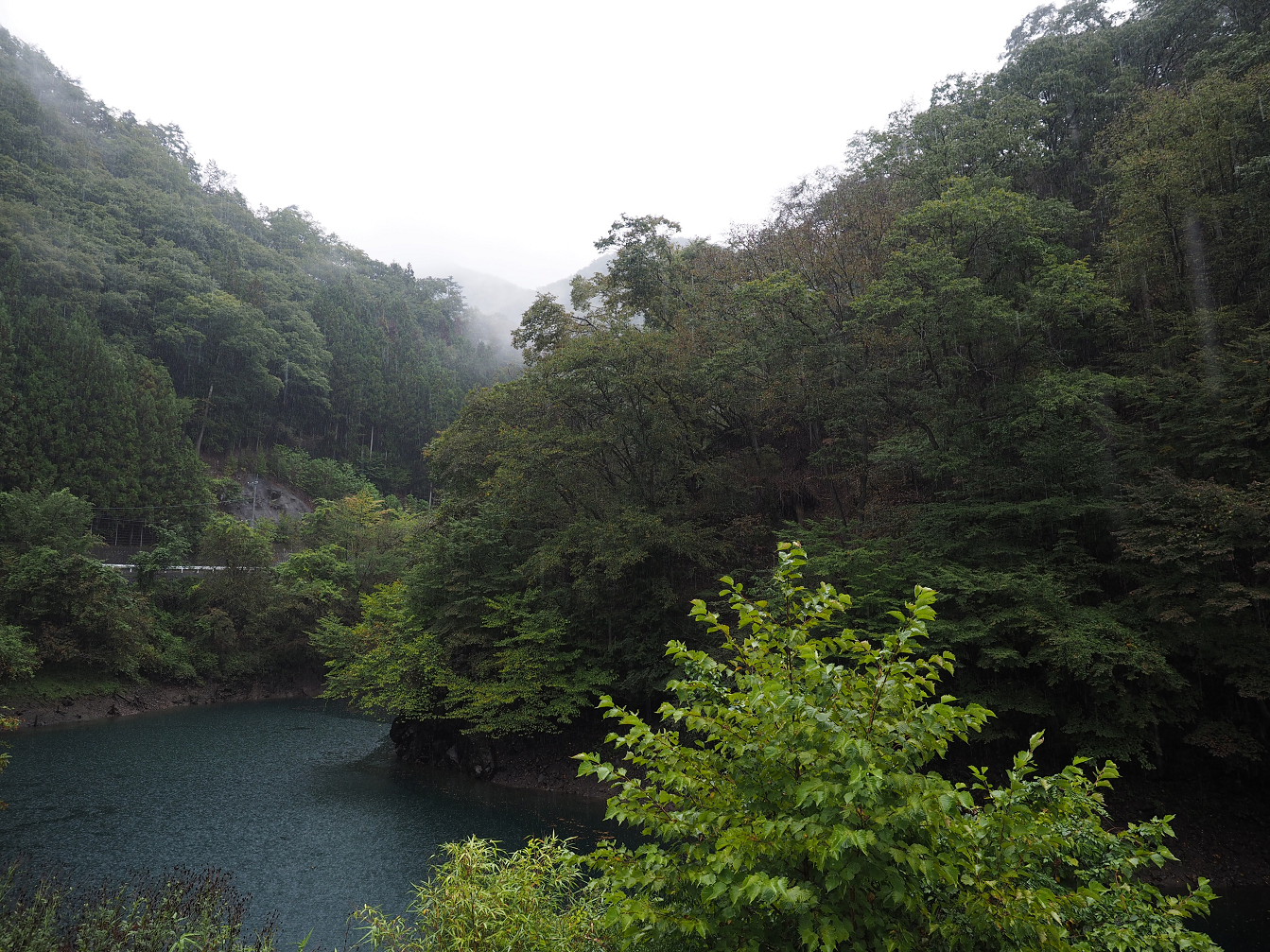PA050012.jpg