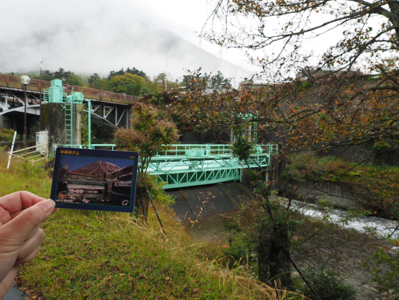 PA050018.jpg