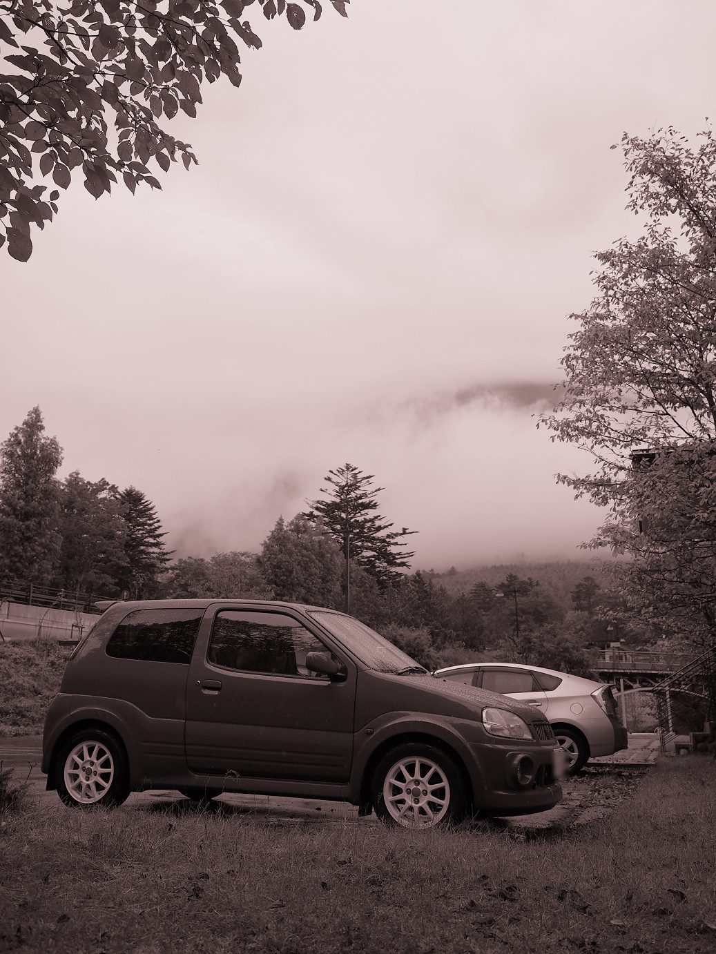 PA050030.jpg