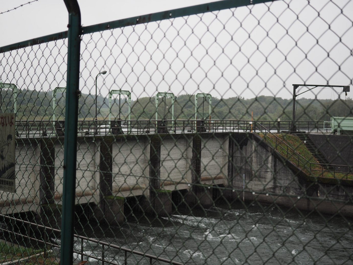 PA050038.jpg